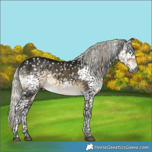 Horse Color:Gray Silver Pseudo Buckskin Mushroom Splash Tobiano Snowflake Varnish