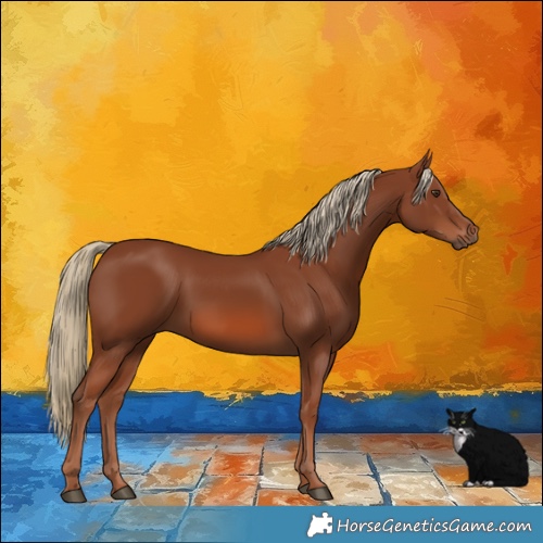 Horse Color:Chestnut 