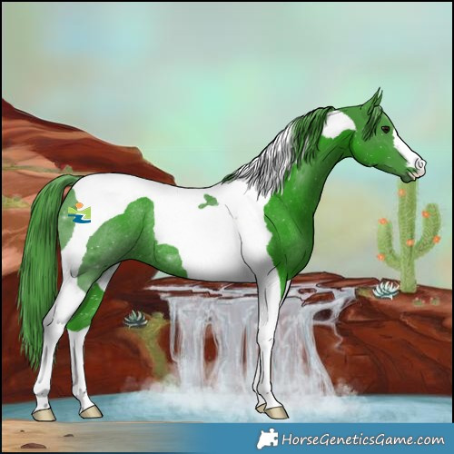 Horse Color:Watercolor Black Tobiano Rabicano 