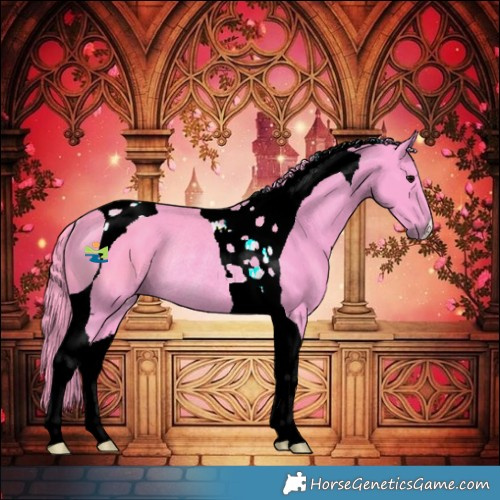 Horse Color:Watercolor Black Tobiano Rabicano 