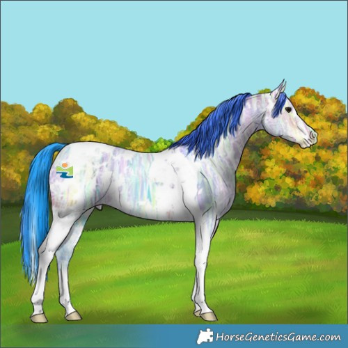 Horse Color:Watercolor White Spotted Bay Ice Tobiano