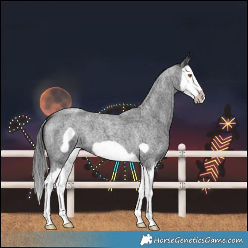 Horse Color:Blue Roan Splash Frame Blanket 