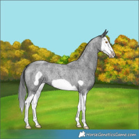 Horse Color:Blue Roan Splash Frame Blanket