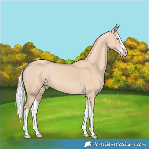 Horse Color:Silver Classic Champagne Dun Splash 
