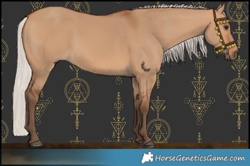 Horse Color:Silver Bay Dun 