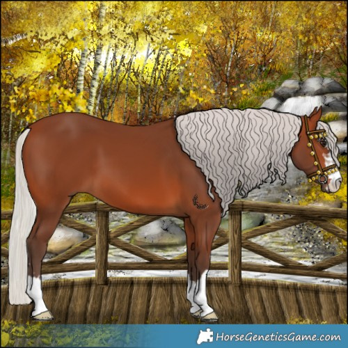 Horse Color:Silver Brown