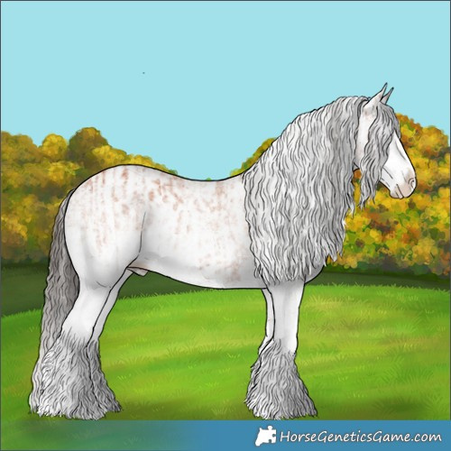 Horse Color:White Spotted Bay Splash  and White Spotted Bay Splash 