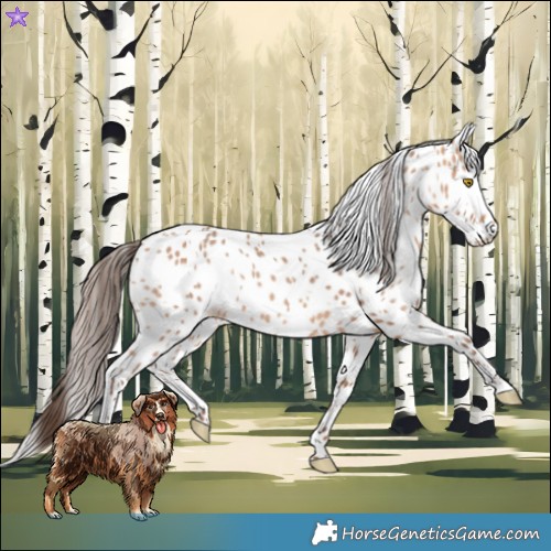Horse Color:Amber Champagne Leopard and Amber Champagne Leopard