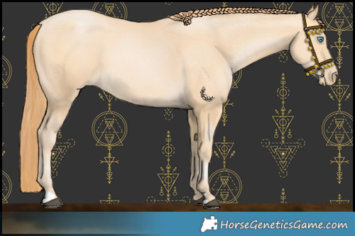 Horse Color:Buckskin Pearl 