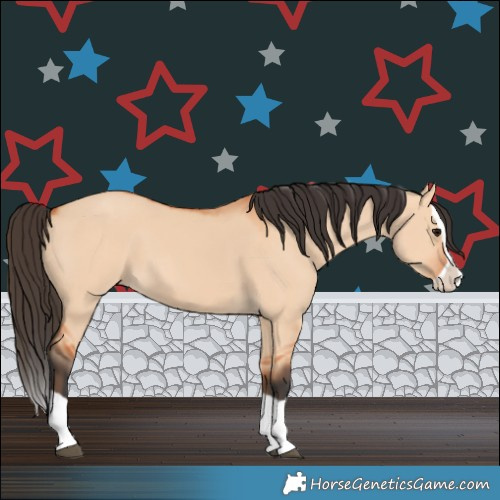 Horse Color:Bay Dun Splash 