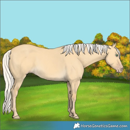 Horse Color:Silver Amber Cream Champagne Dun 