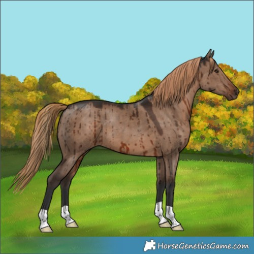 Horse Color:Liver Red Dun Brindle