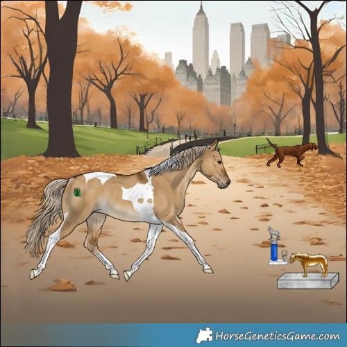 Horse Color:Chocolate Palomino Dun Tobiano Rabicano 