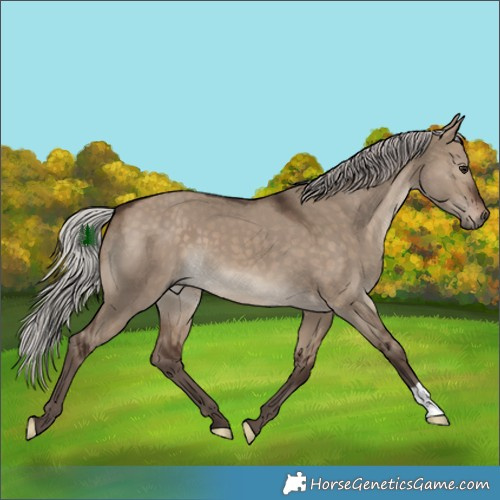 Horse Color:Silver Brown Dun 