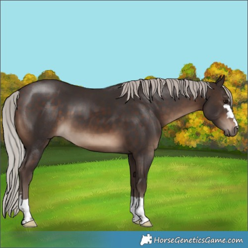 Horse Color:Silver Brown 