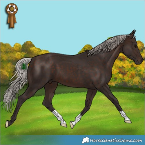 Horse Color:Silver Brown 