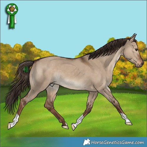 Horse Color:Liver Red Dun 