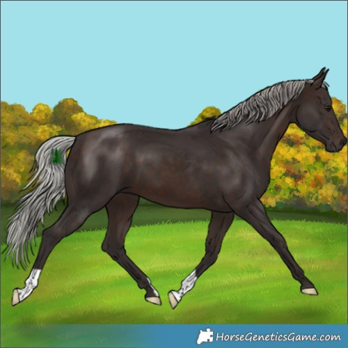 Horse Color:Silver Brown 