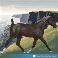 Horse Color:Silver Brown