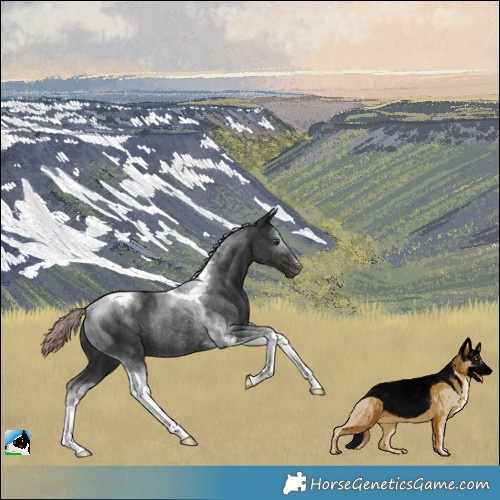 Horse Color:Platinum Liver Chestnut Tobiano Rabicano