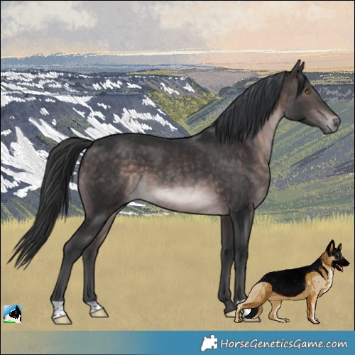 Horse Color:Platinum Brown 