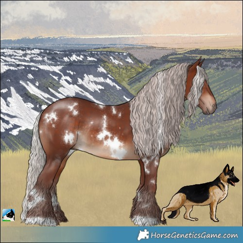 Horse Color:White Spotted Chocolate Silver Brown Rabicano 