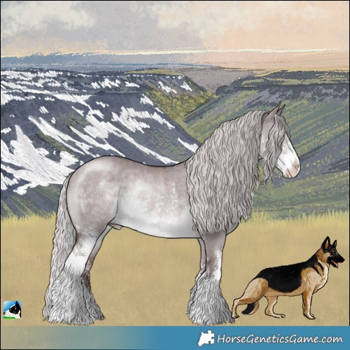 Horse Color:Chocolate Silver Brown Chinchilla Dun Sabino Rabicano 