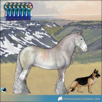 Horse Color:Chocolate Silver Brown Chinchilla Dun Sabino Rabicano 