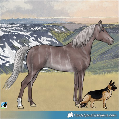 Horse Color:Chocolate Silver Brown Chinchilla Ice Rabicano 