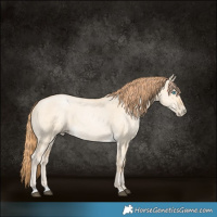Horse Color:Buckskin Dun