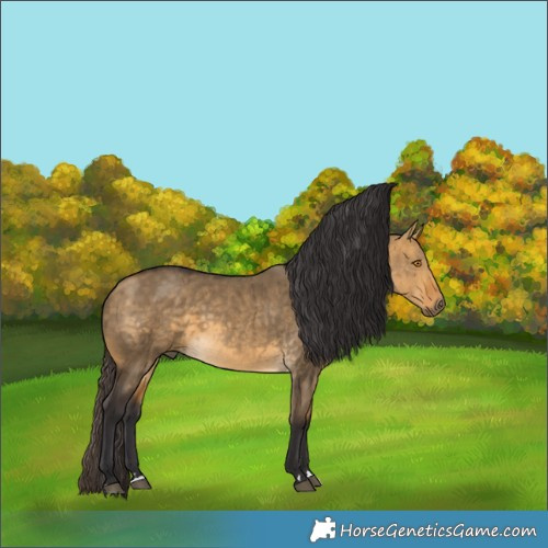 Horse Color:Buckskin Dun Brindle