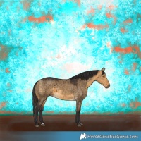 Horse Color:Buckskin Dun Brindle