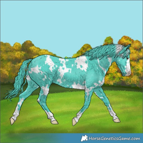 Horse Color:Watercolor White Spotted Chocolate Smoky Black Chinchilla 