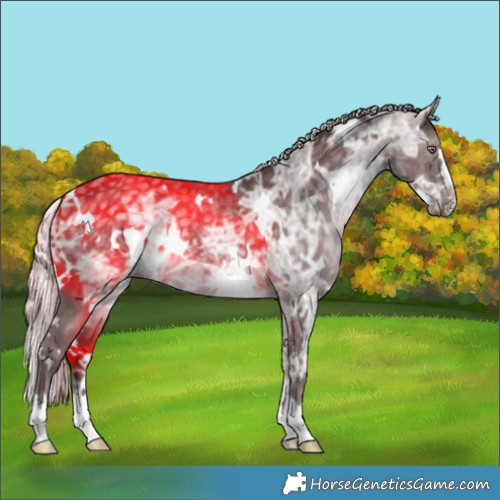 Horse Color:White Spotted Chocolate Silver Black Chinchilla Ice 