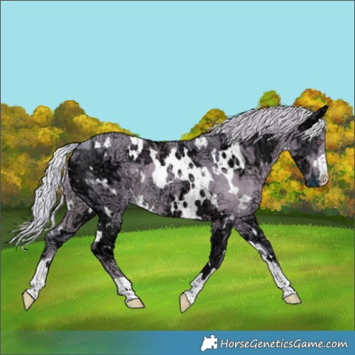 Horse Color:Watercolor White Spotted Chocolate Silver Black Chinchilla Ice 