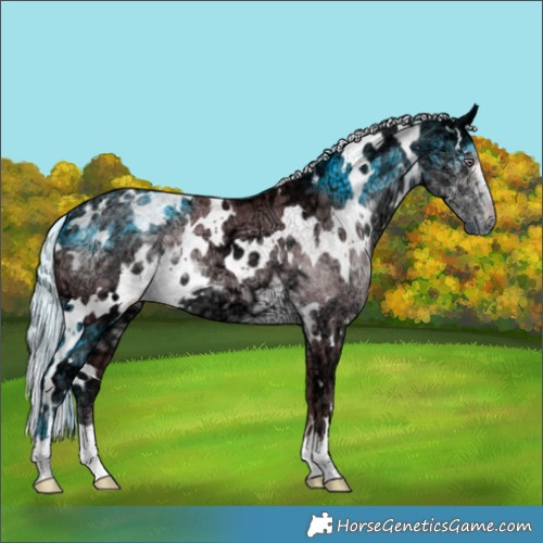 Horse Color:White Spotted Chocolate Silver Smoky Black Chinchilla Ice 