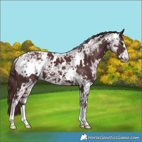 Horse Color:White Spotted Chocolate Black Chinchilla Ice 