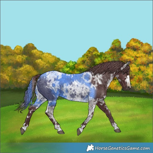 Horse Color:White Spotted Chocolate Black Chinchilla Ice 