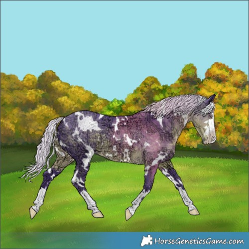 Horse Color:Watercolor White Spotted Chocolate Silver Smoky Black Chinchilla Ice 
