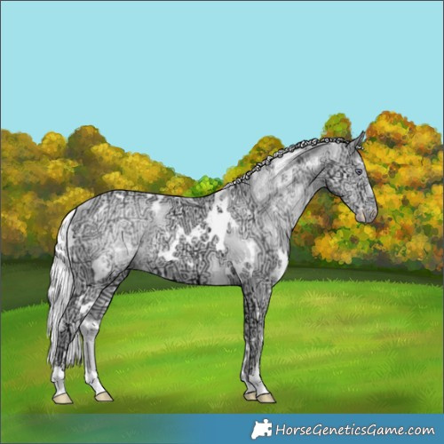 Horse Color:White Spotted Chocolate Silver Smoky Creme Chinchilla Ice 