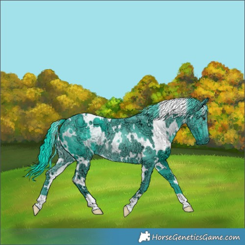 Horse Color:Watercolor White Spotted Chocolate Black Chinchilla Ice 