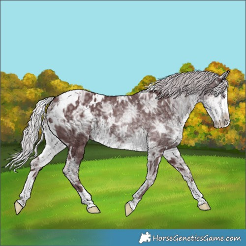 Horse Color:White Spotted Chocolate Silver Smoky Black Chinchilla Ice 