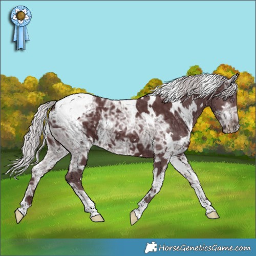 Horse Color:White Spotted Chocolate Silver Smoky Black Chinchilla Ice 