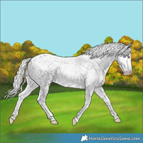Horse Color:White Spotted Chocolate Silver Smoky Creme Chinchilla Ice 