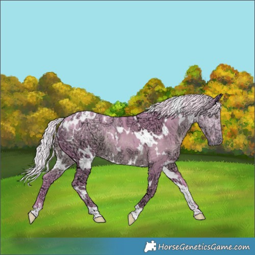 Horse Color:Watercolor White Spotted Chocolate Silver Black Chinchilla Ice 