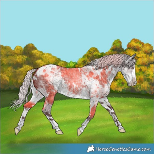 Horse Color:White Spotted Chocolate Silver Smoky Black Chinchilla Ice 