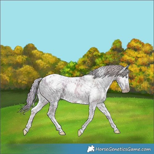 Horse Color:Watercolor White Spotted Chocolate Smoky Creme Chinchilla Ice