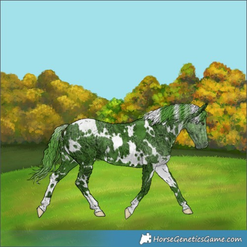 Horse Color:Watercolor White Spotted Chocolate Smoky Black Chinchilla Ice 