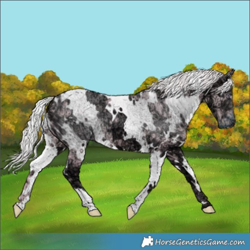 Horse Color:Watercolor White Spotted Chocolate Silver Smoky Creme Chinchilla Ice 