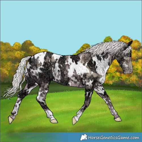 Horse Color:Watercolor White Spotted Chocolate Silver Smoky Creme Chinchilla Ice 